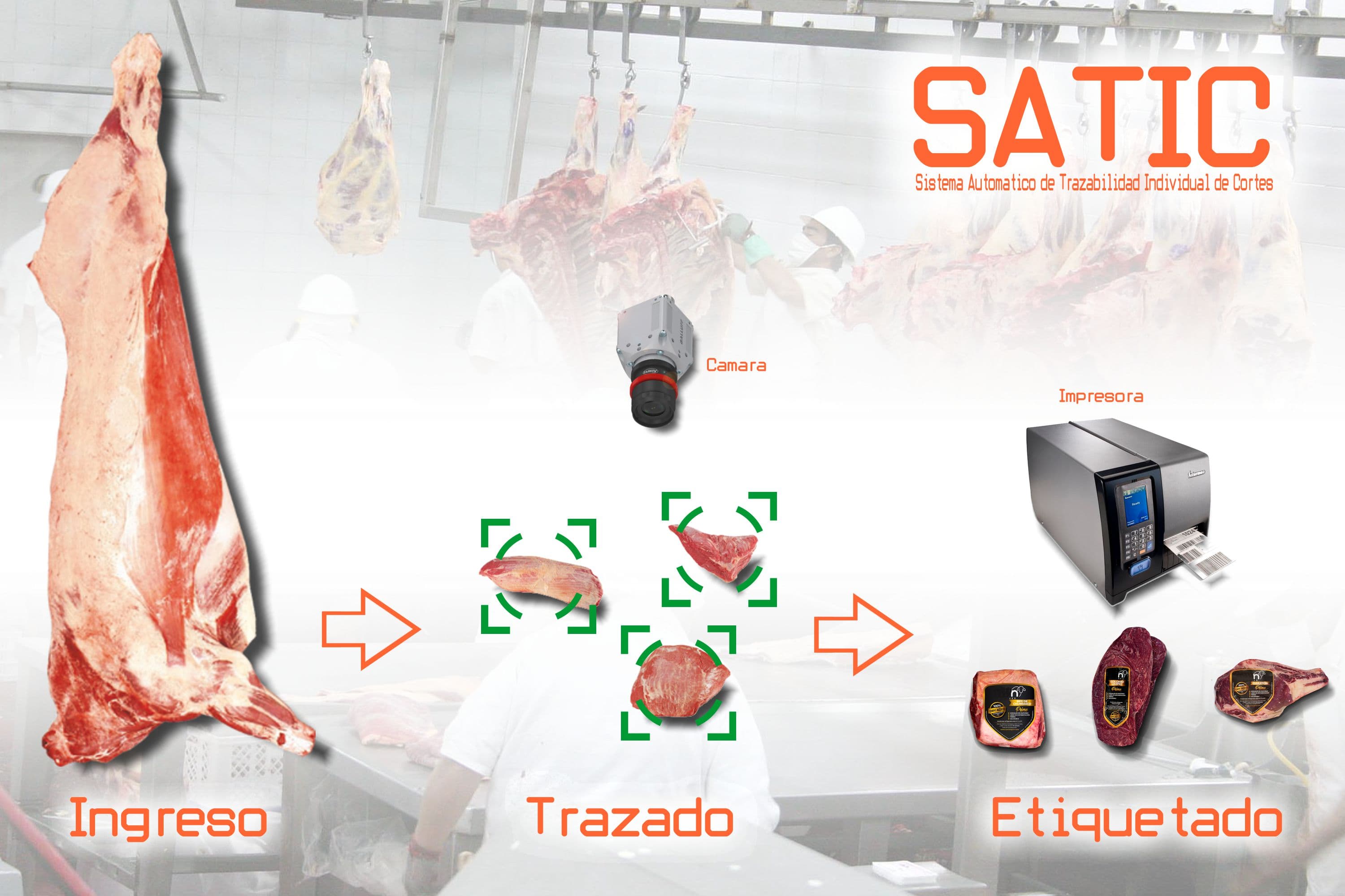 Sistema SATIC
